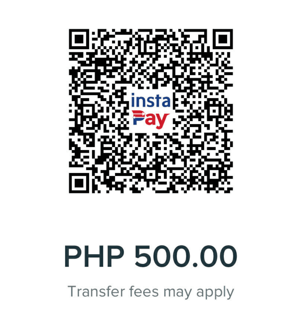 BPI QR code for P500